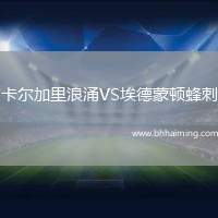 卡爾加里浪涌VS埃德蒙頓蜂刺