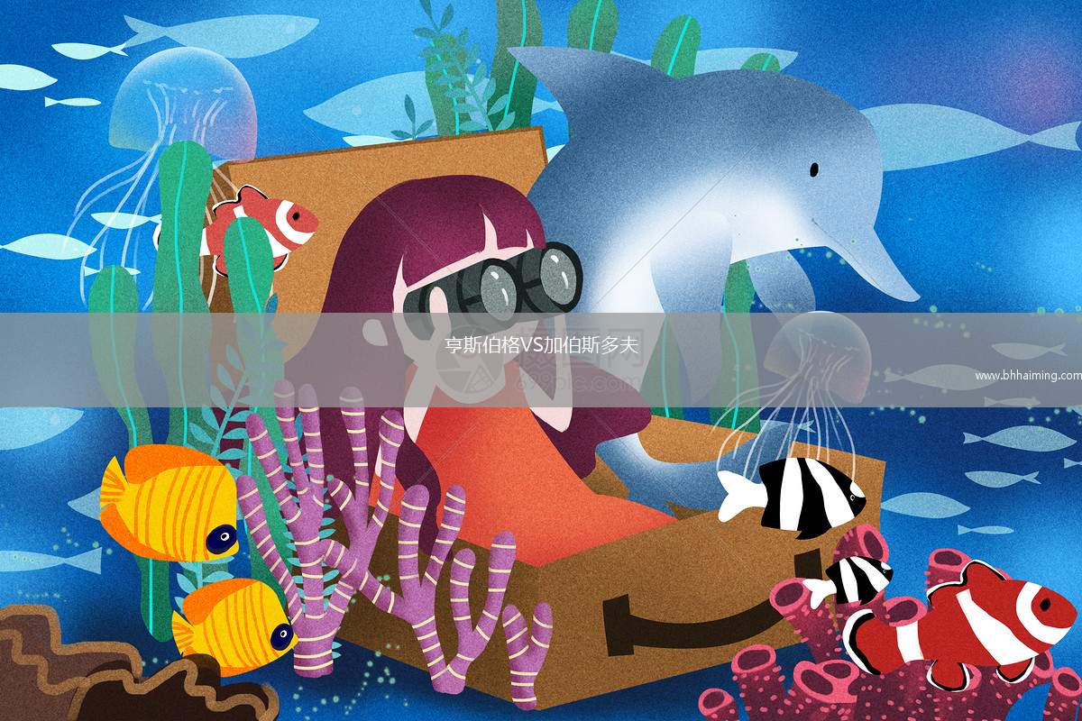 亨斯伯格VS加伯斯多夫