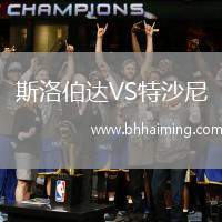 斯洛伯達(dá)VS特沙尼