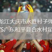 黑龍江大慶市永勝村子彈隊VS廣東和平縣合水村足球隊