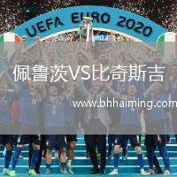 佩魯茨VS比奇斯吉