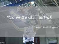 特斯蒂拉VS耶丁斯托沃