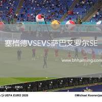 塞格德VSEVS薩巴艾羅爾SE