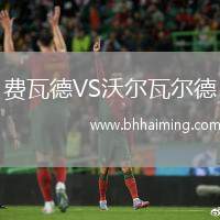 費(fèi)瓦德VS沃爾瓦爾德