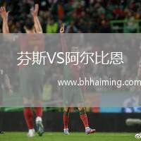 芬斯VS阿爾比恩