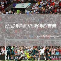 澤尼特奔薩VS斯特羅吉諾