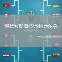 道格拉斯海格VS拉費爾拿