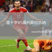 藍十字VS桑托斯拉古納