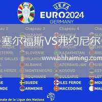 塞爾福斯VS弗約尼爾