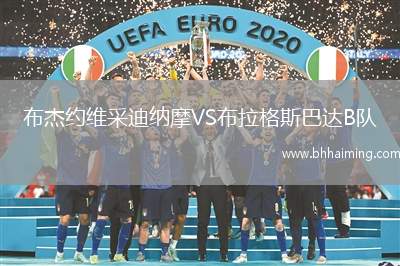 布杰約維采迪納摩VS布拉格斯巴達(dá)B隊(duì)