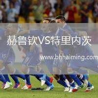 赫魯欽VS特里內(nèi)茨