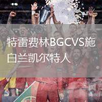 特雷費(fèi)林BGCVS施白蘭凱爾特人