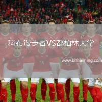 科布漫步者VS都柏林大學