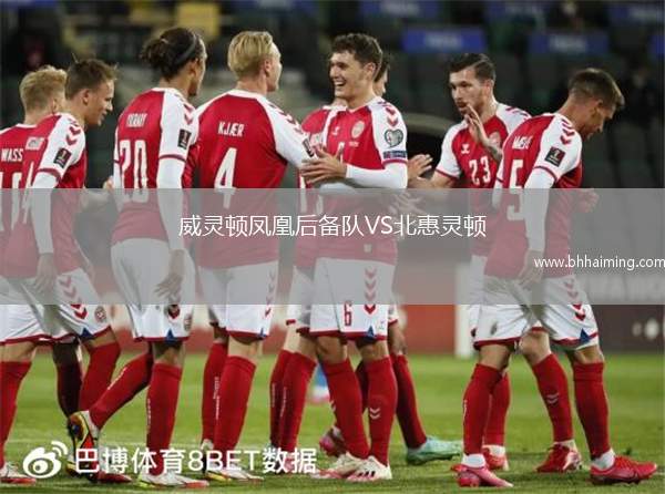 威靈頓鳳凰后備隊VS北惠靈頓