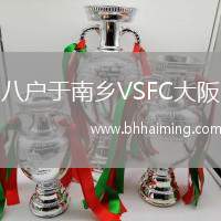 八戶于南鄉(xiāng)VSFC大阪