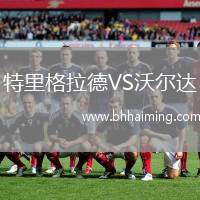 特里格拉德VS沃爾達