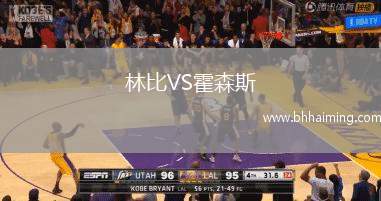 林比VS霍森斯