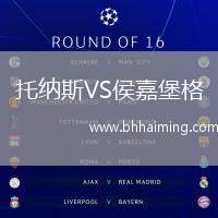 托納斯VS侯嘉堡格