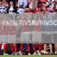 卡尼菲克VS陶爾保SC