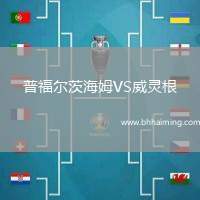 普福爾茨海姆VS威靈根