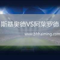 斯基奧德VS阿萊羅德