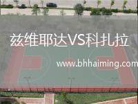 茲維耶達(dá)VS科扎拉