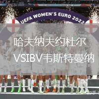 哈夫納夫約杜爾VSIBV韋斯特曼納