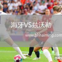 海牙VS茲沃勒