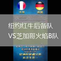 紐約紅牛后備隊(duì)VS芝加哥火焰B隊(duì)