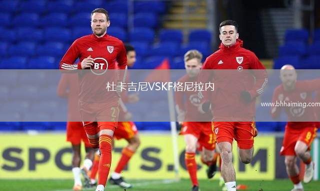 杜卡吉尼VSKF格尼拉內(nèi)