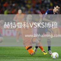 赫特曼科VSKS博穆