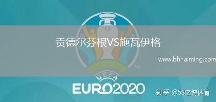 貢德爾芬根VS施瓦伊格