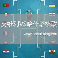 艾維利VS哈什塔格聯(lián)