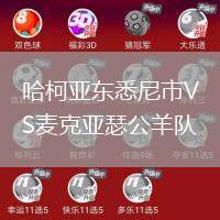 哈柯亞東悉尼市VS麥克亞瑟公羊隊(duì)