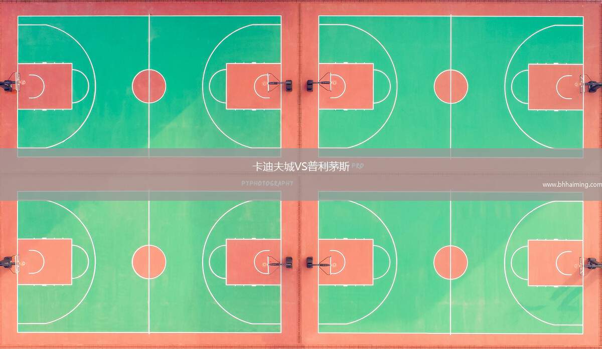 卡迪夫城VS普利茅斯