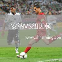 安納VS紐因頓