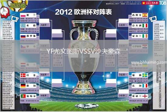 YF尤文圖斯VSSV沙夫豪森