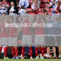 歐洲足球俱樂部VS山貓F(tuán)C