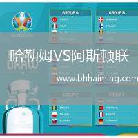哈勒姆VS阿斯頓聯(lián)