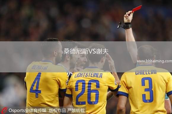 桑德尼斯VS謝夫