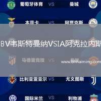 IBV韋斯特曼納VSIA阿克拉內(nèi)斯