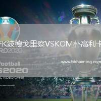 FK波德戈里察VSKOM樸高利卡