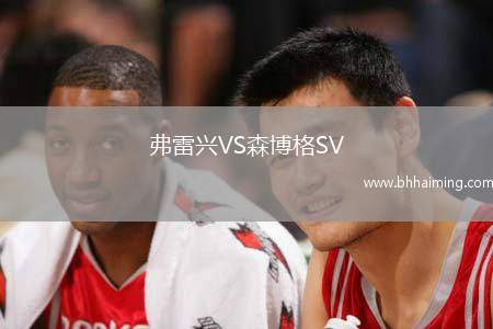 弗雷興VS森博格SV