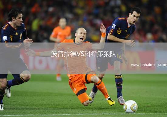 波普拉德VS科希策狼隊