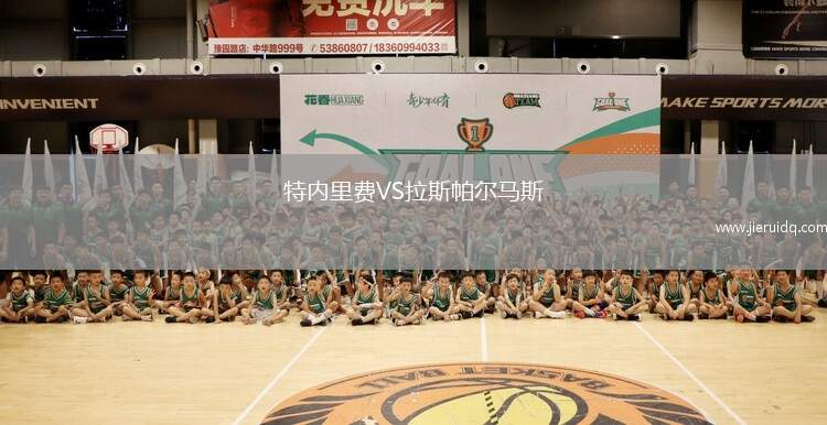 小男孩FDVS奧胡斯費(fèi)馬