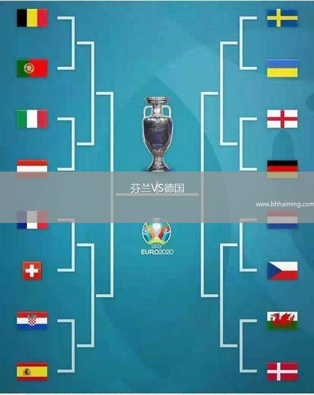 芬蘭VS德國