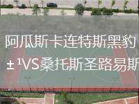 阿瓜斯卡連特斯黑豹VS桑托斯圣路易斯