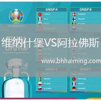 維納什堡VS阿拉佛斯