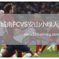 城南FCVS安山小綠人