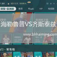 海勒魯普VS齊斯泰茲